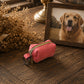 A small pink pet pouch with a gold zipper and key ring, styled on a dark wooden table next to a framed photo of a golden retriever and dried flowers.
