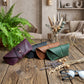 Four leather eyeglasses cases in purple, black, brown, and green are arranged on a rustic wooden table in a cozy, styled room setting with a fern, dried flowers, and a pair of eyeglasses in the foreground.
